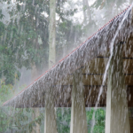 Rain on roof