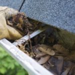 cleaning the leaves out of the gutters at home in Pennsylvannia