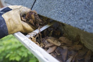 cleaning the leaves out of the gutters at home in Pennsylvannia