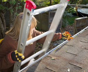 gutter maintenance