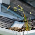 Dangers Of Clogged Gutters | Gutter Cleaning Lehigh County | Berks County | Northhampton County