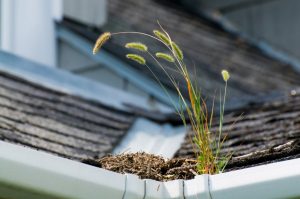 Dangers Of Clogged Gutters | Gutter Cleaning Lehigh County | Berks County | Northhampton County