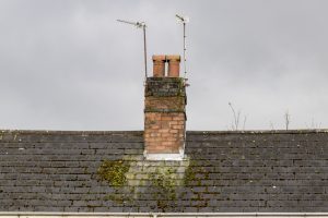 Mold on Roof