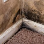 Common Basement Problems