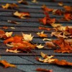 Leaves on roof