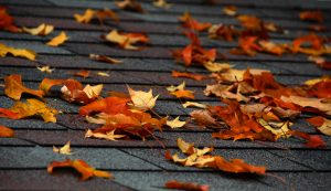 Leaves on roof