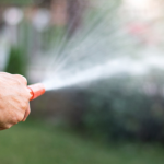 Watering Lawn