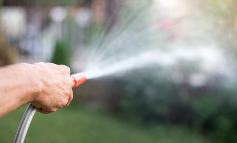Watering Lawn