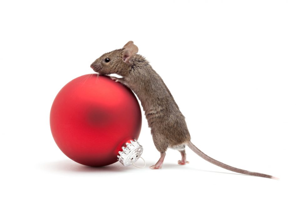 Mouse with Ornament