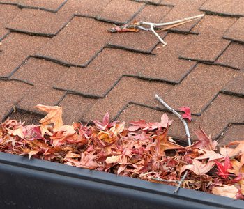 Gutter Overflow