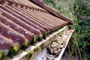 Gutter Damage on home