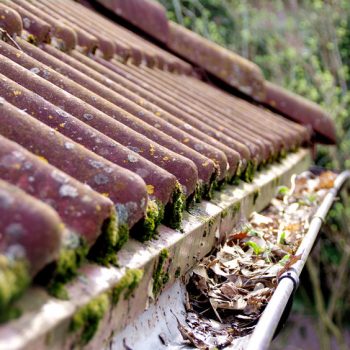 Gutter Damage on home