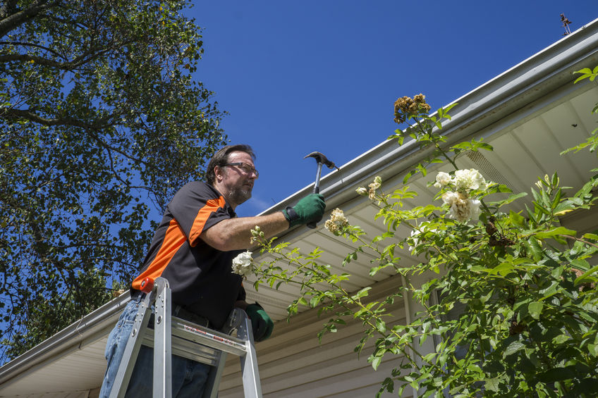 Worker hammering gutter spike in that came loose.