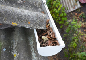 Rain Gutter Cleaning from Leaves in Autumn.