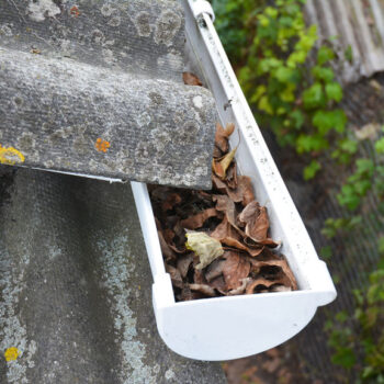 Rain Gutter Cleaning from Leaves in Autumn.