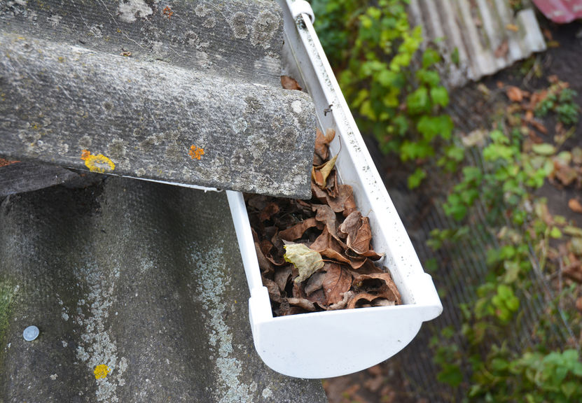 Rain Gutter Cleaning from Leaves in Autumn.