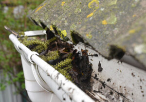 Gutter Cleaning. Rain Gutter Cleaning from Leaves. Roof Gutter Cleaning Tips Close up.