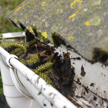 Gutter Cleaning. Rain Gutter Cleaning from Leaves. Roof Gutter Cleaning Tips Close up.