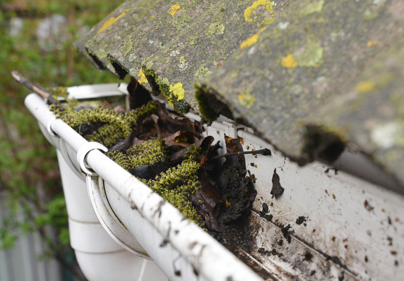 Gutter Cleaning. Rain Gutter Cleaning from Leaves. Roof Gutter Cleaning Tips Close up.