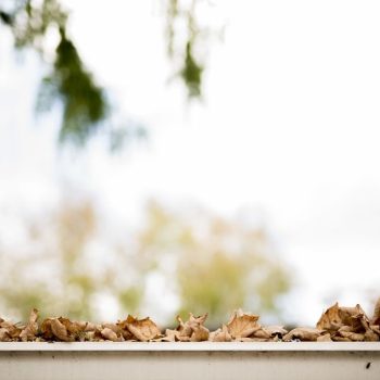 clogged gutters filled with leaves