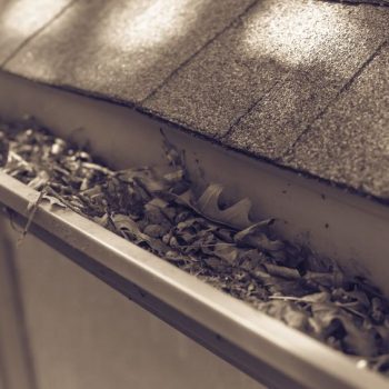 debris clogging gutters