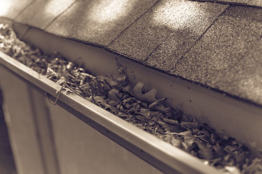 debris clogging gutters